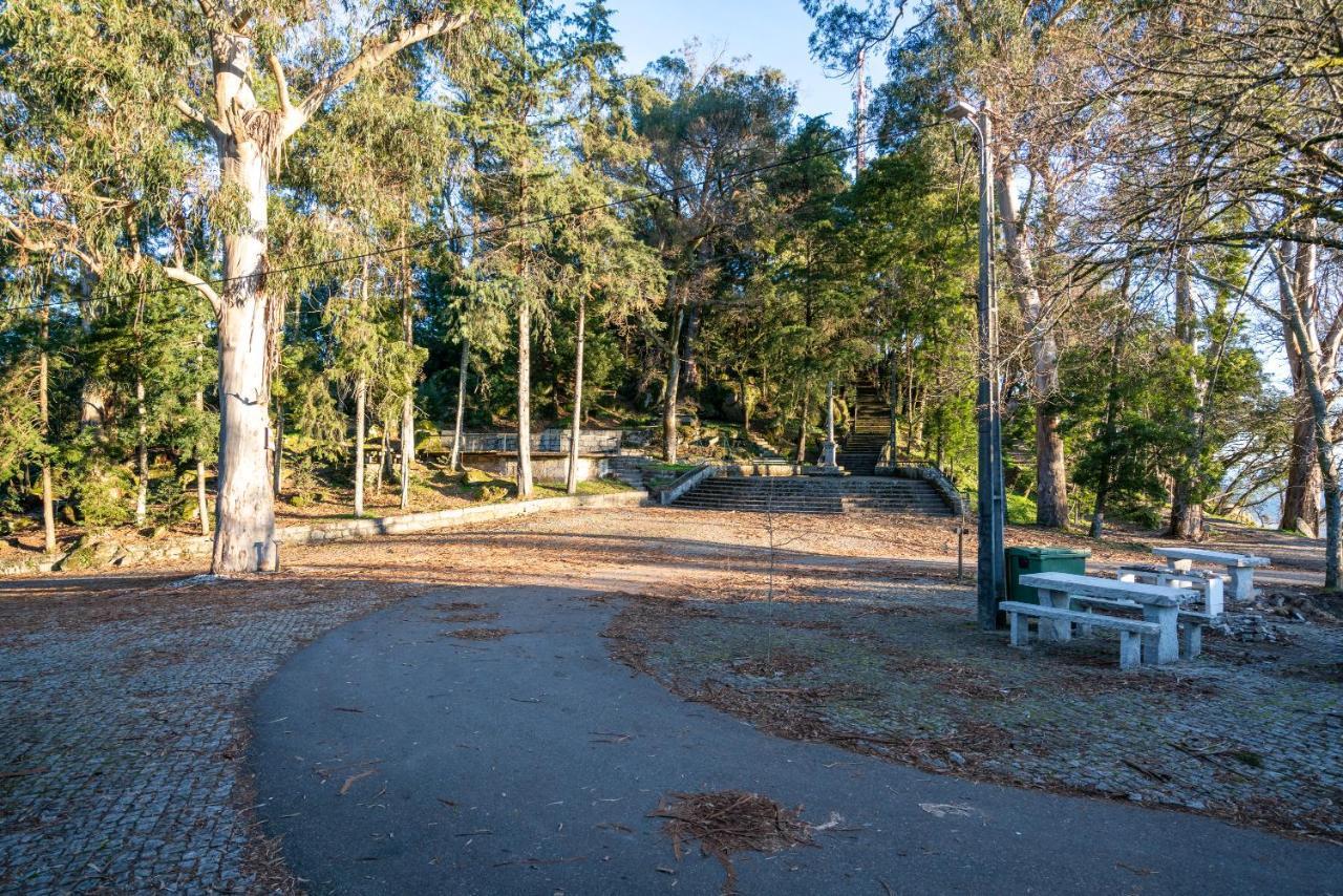 Quinta Das Lamas - Antiga Adega Vouzela Buitenkant foto