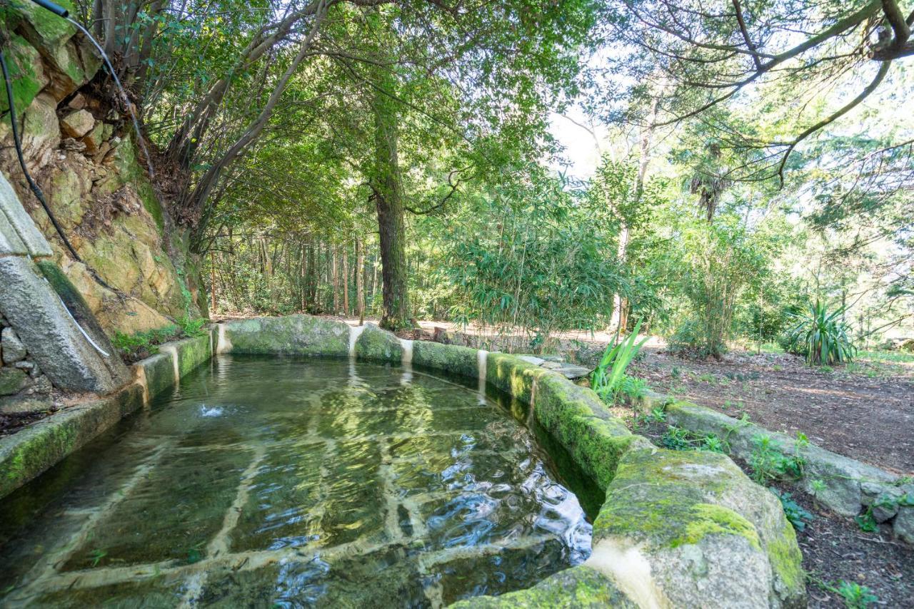 Quinta Das Lamas - Antiga Adega Vouzela Buitenkant foto