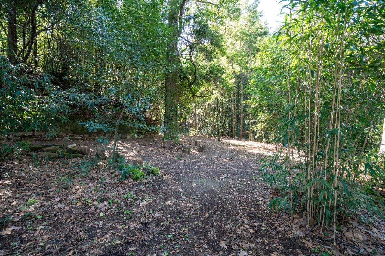 Quinta Das Lamas - Antiga Adega Vouzela Buitenkant foto